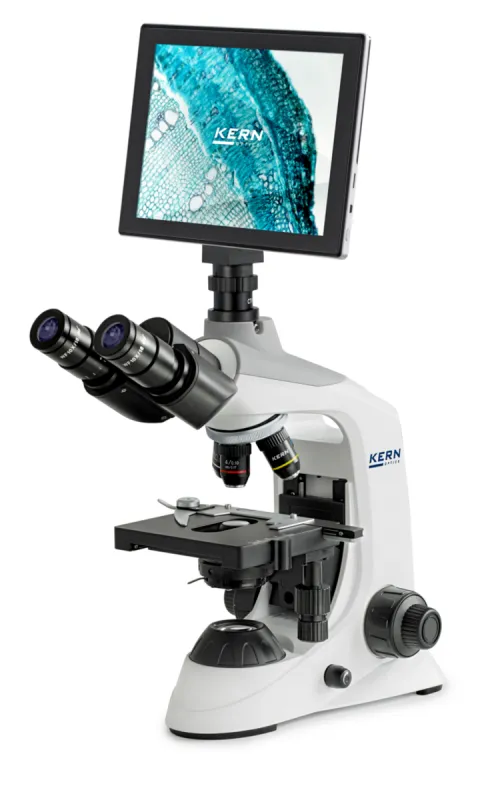 cls-med20260710200828678843