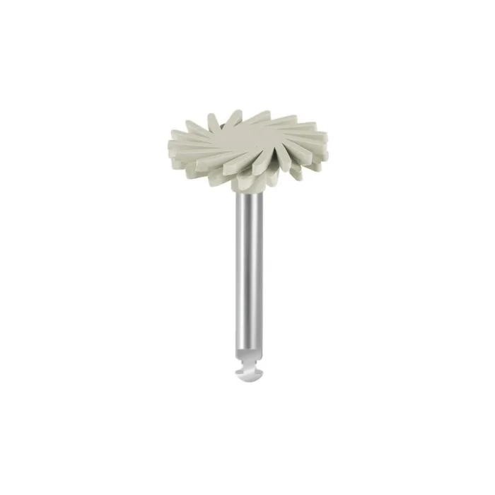 denta-tec-120260710184112660678