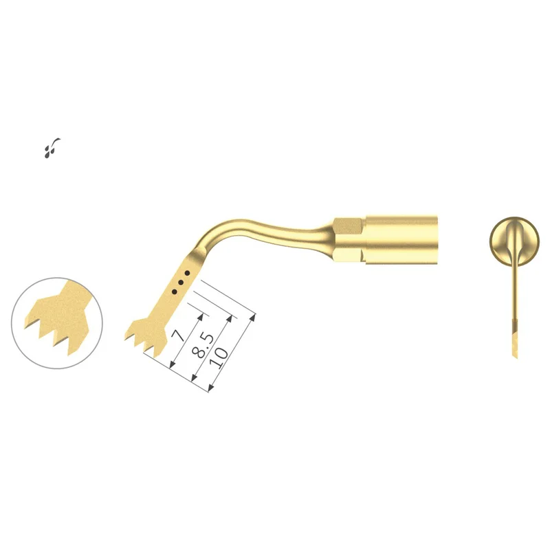 denta-tec-120260710192208669808