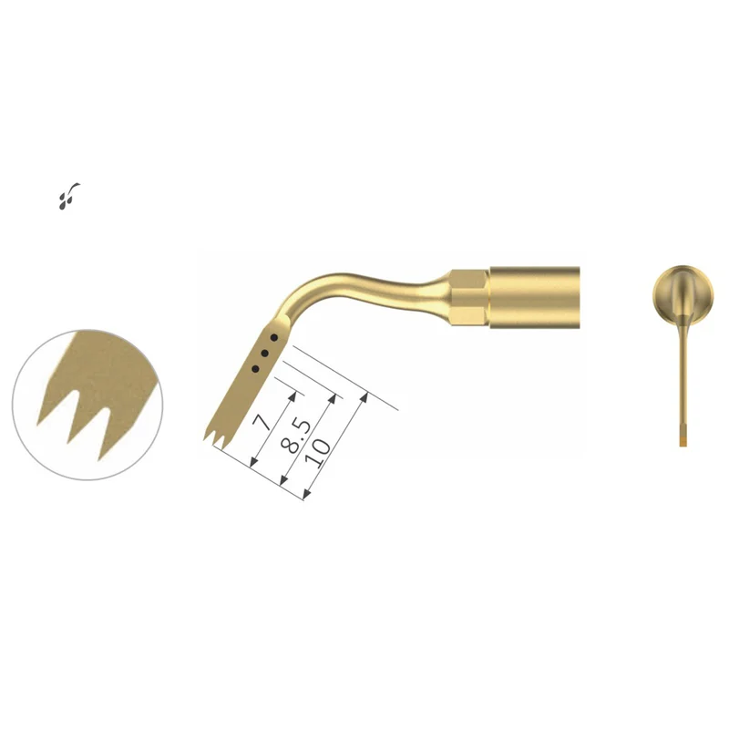 denta-tec-120260710192231669874