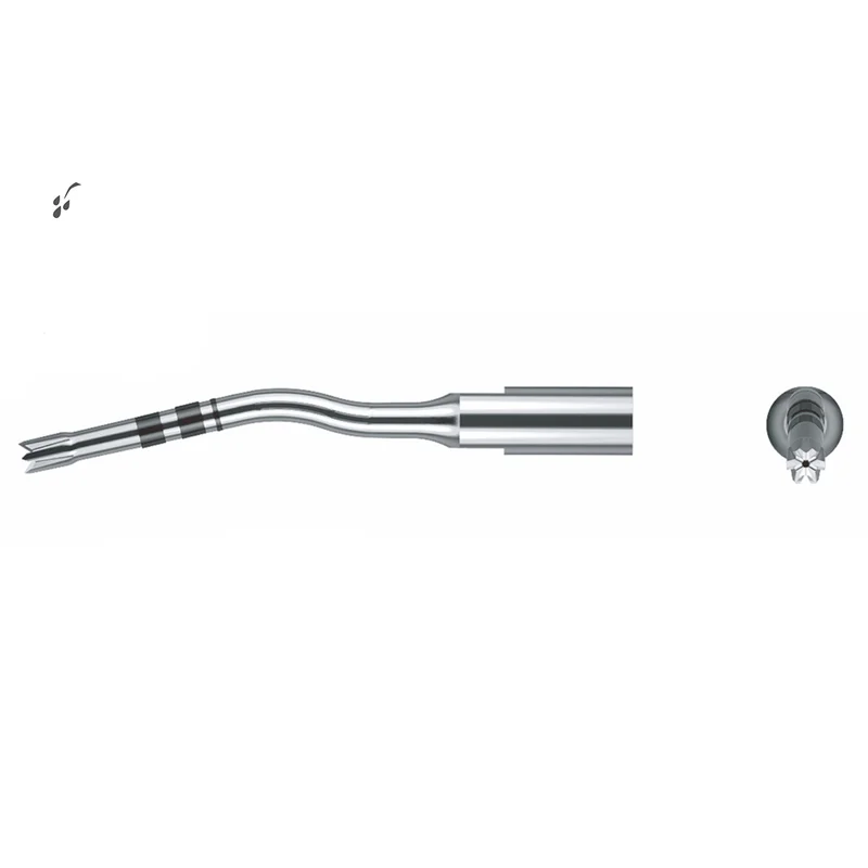 denta-tec-120260710192905670985
