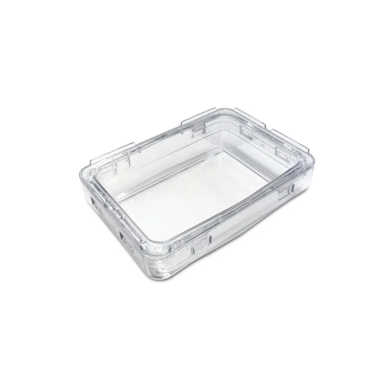 denta-tec-120260710200125677516