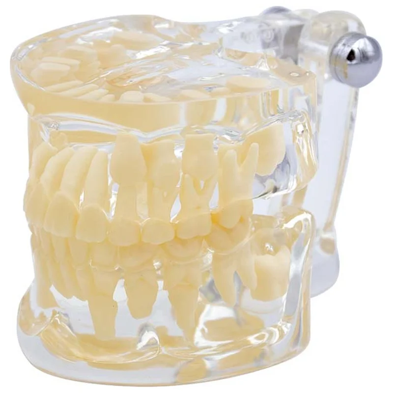 denta-tec-120260710210827689693