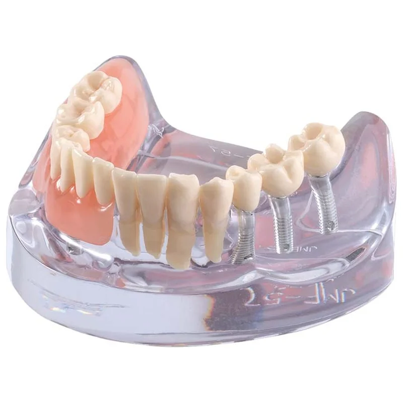 denta-tec-120260710212226691967