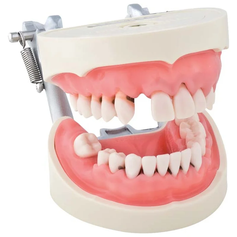 denta-tec-120260710212307692092