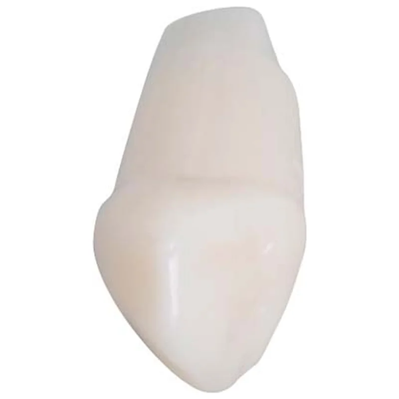 denta-tec-120260710212334692163