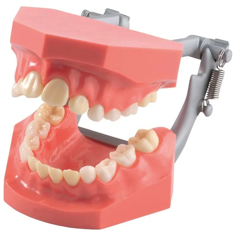 denta-tec-120260710212344692188