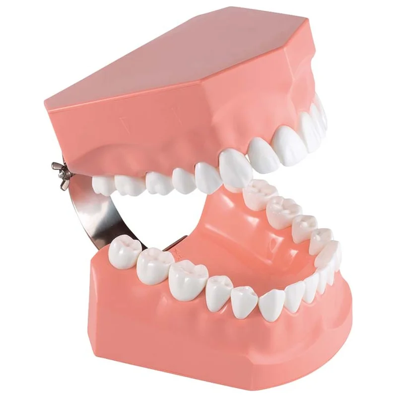 denta-tec-120260710212406692246