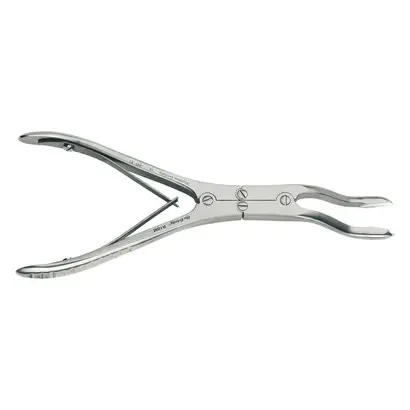 denta-tec-120260710235540718394