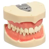 denta-tec-120260711000550720187