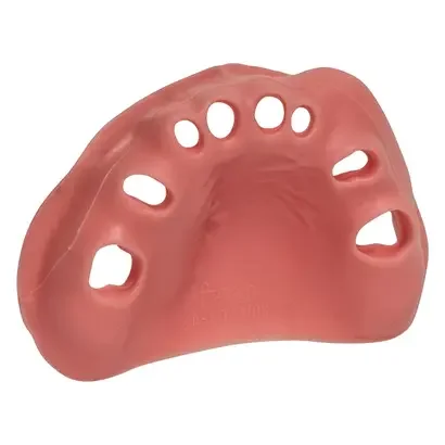 denta-tec-120260711001115721142