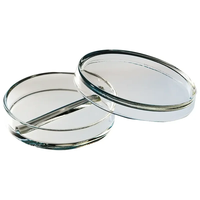 denta-tec-120260711001425721738