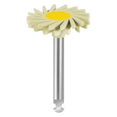 denta-tec-120260711011059731491