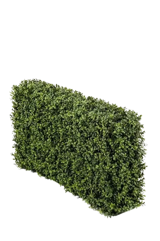 denta-tec-120260711030557746954