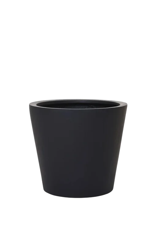 denta-tec-120260711033444750169
