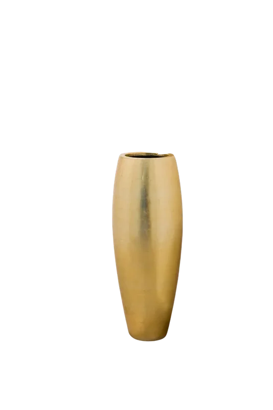denta-tec-120260711033525750255