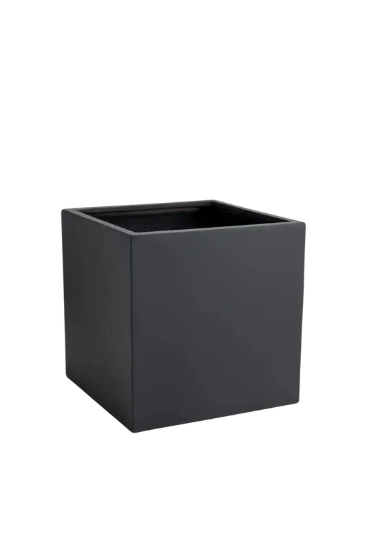 denta-tec-120260711033610750348