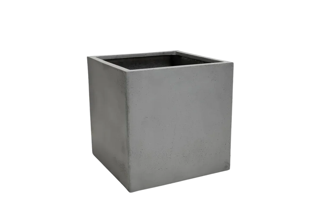 denta-tec-120260711033624750374