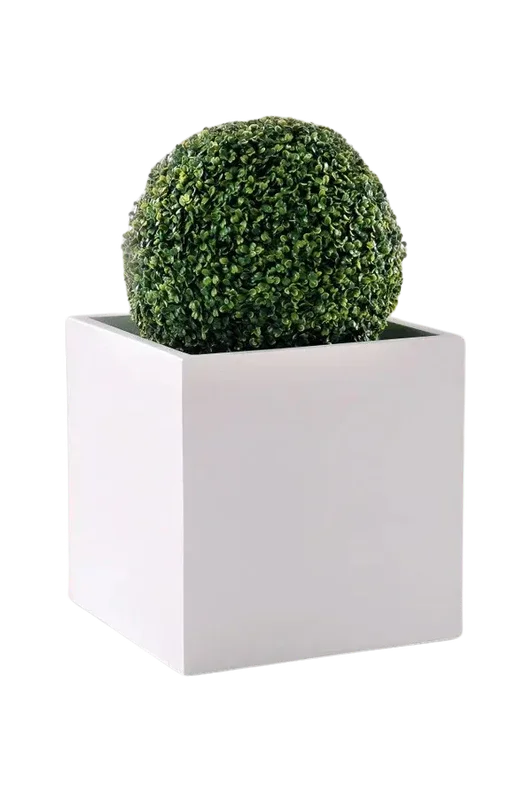 denta-tec-120260711033636750408