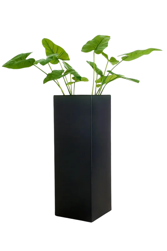 denta-tec-120260711033714750485