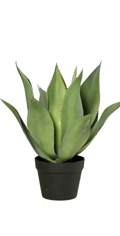denta-tec-120260711033850750685