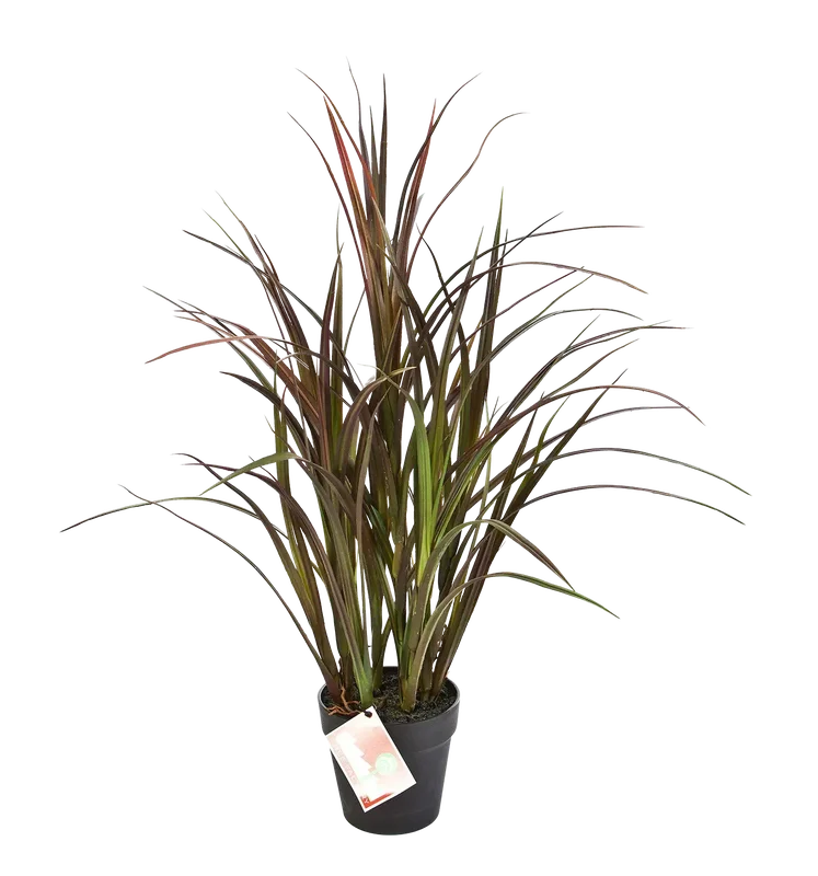 denta-tec-120260711034316751163