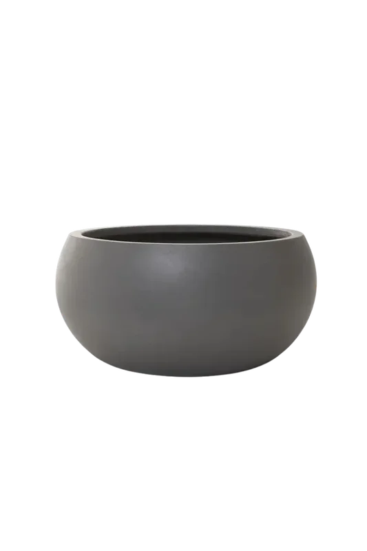 denta-tec-120260711035003751916