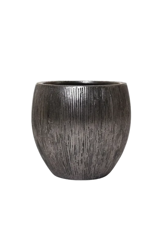 denta-tec-120260711035015751938