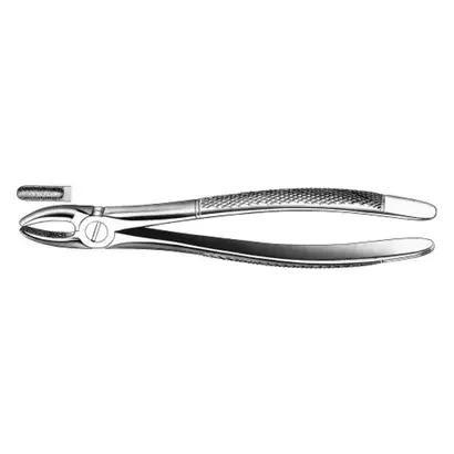 denta-tec-120260711040136753380
