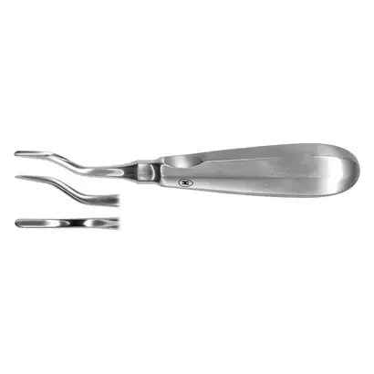 denta-tec-120260711041147755129