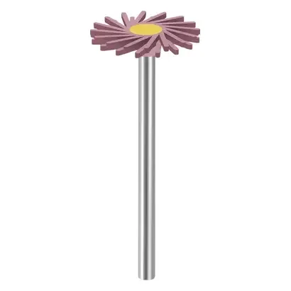 denta-tec-120260711044256760959