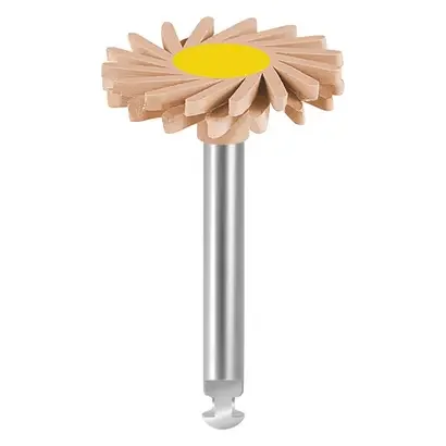 denta-tec-120260711045753763465