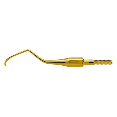 denta-tec-120260711051352765864