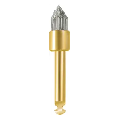 denta-tec-120260711051612766226