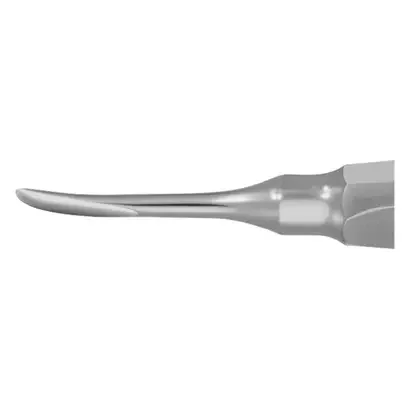 denta-tec-120260711054654770907
