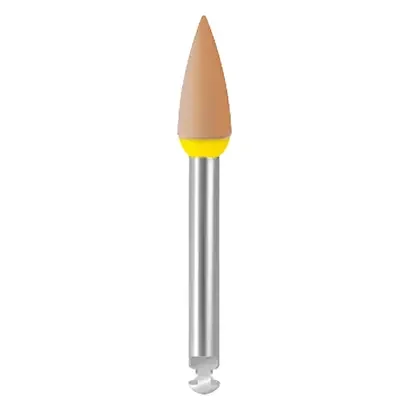 denta-tec-120260711054905771240