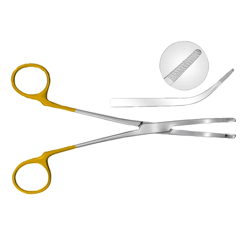 denta-tec-120260711071332783237