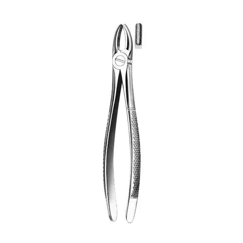 denta-tec-120260711112911814088