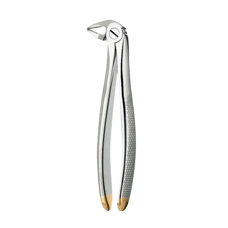 denta-tec-120260711113145814436