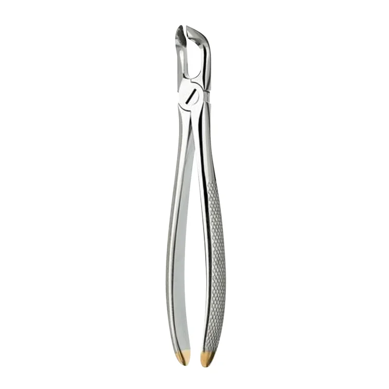 denta-tec-120260711113149814449