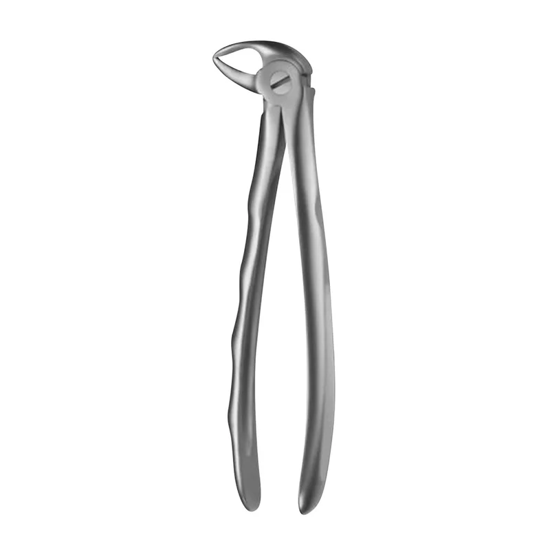 denta-tec-120260711114802816643