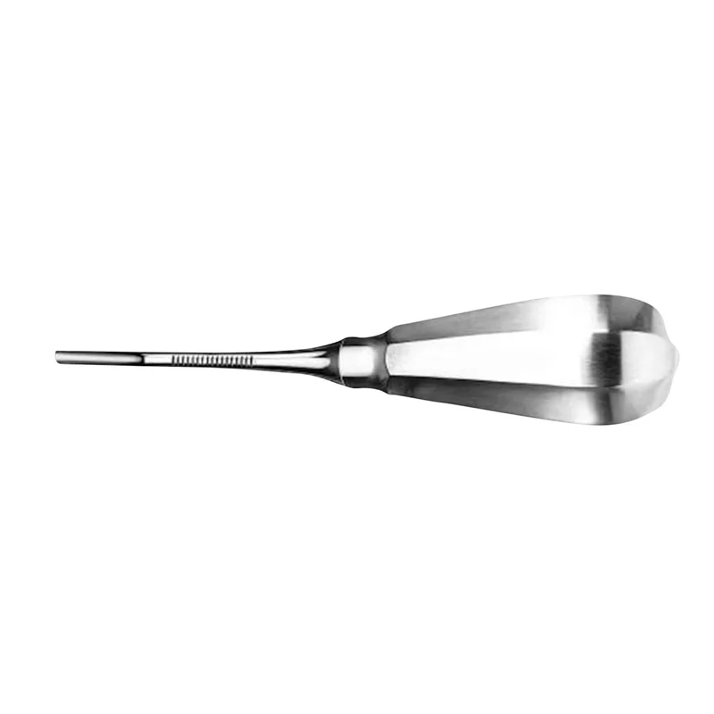 denta-tec-120260711121527820312