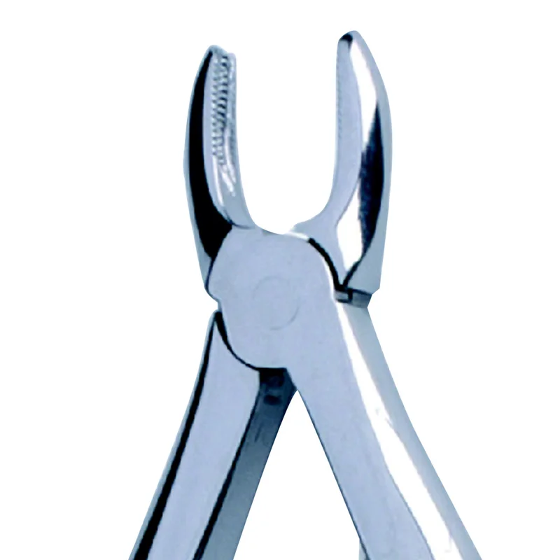 denta-tec-120260711141153834060