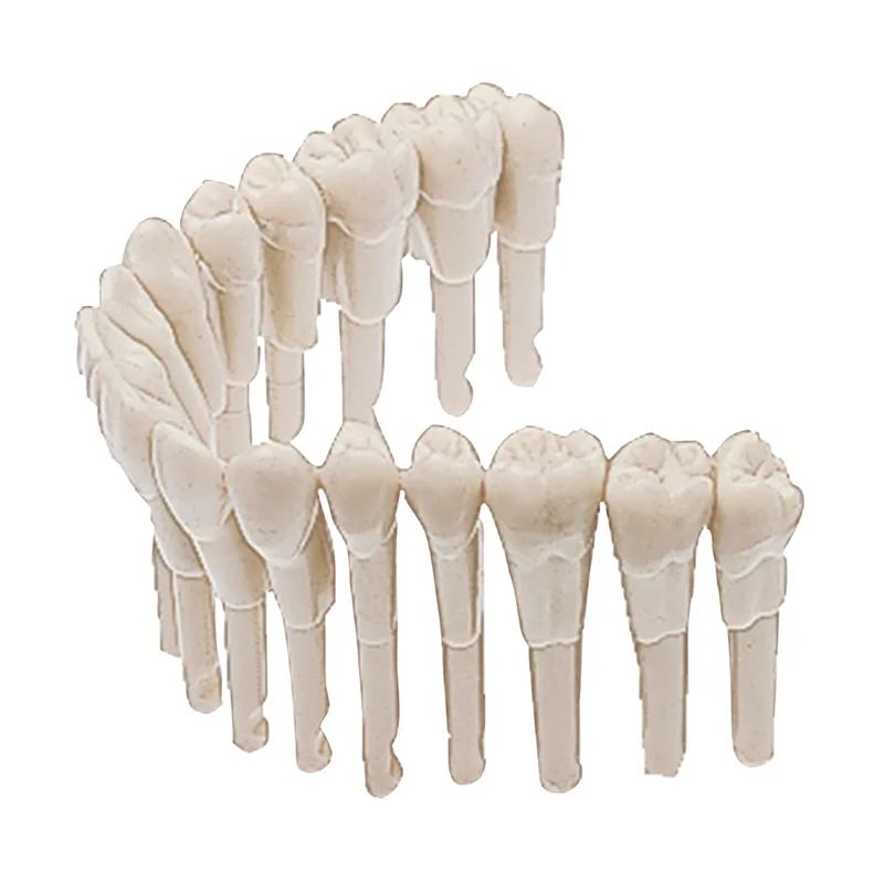 denta-tec-120260711145553837221