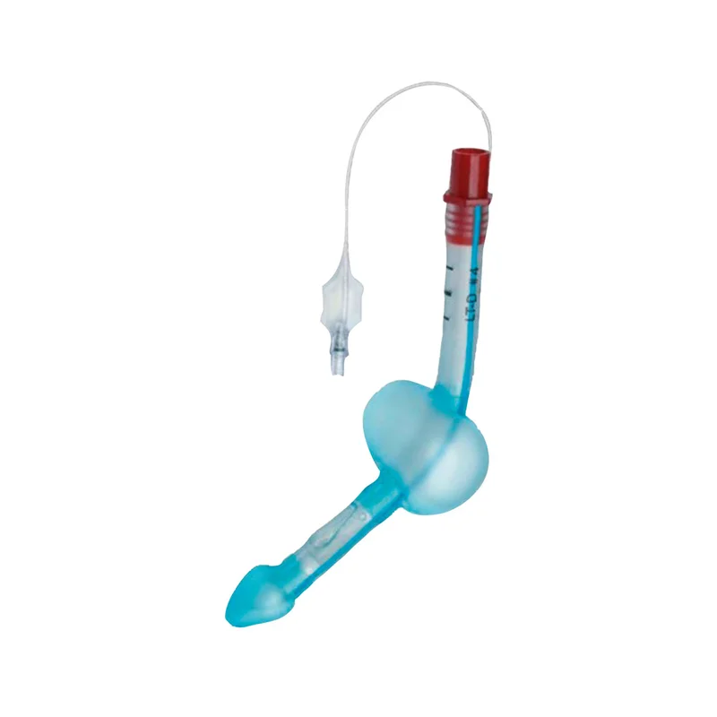 denta-tec-120260711154649841036