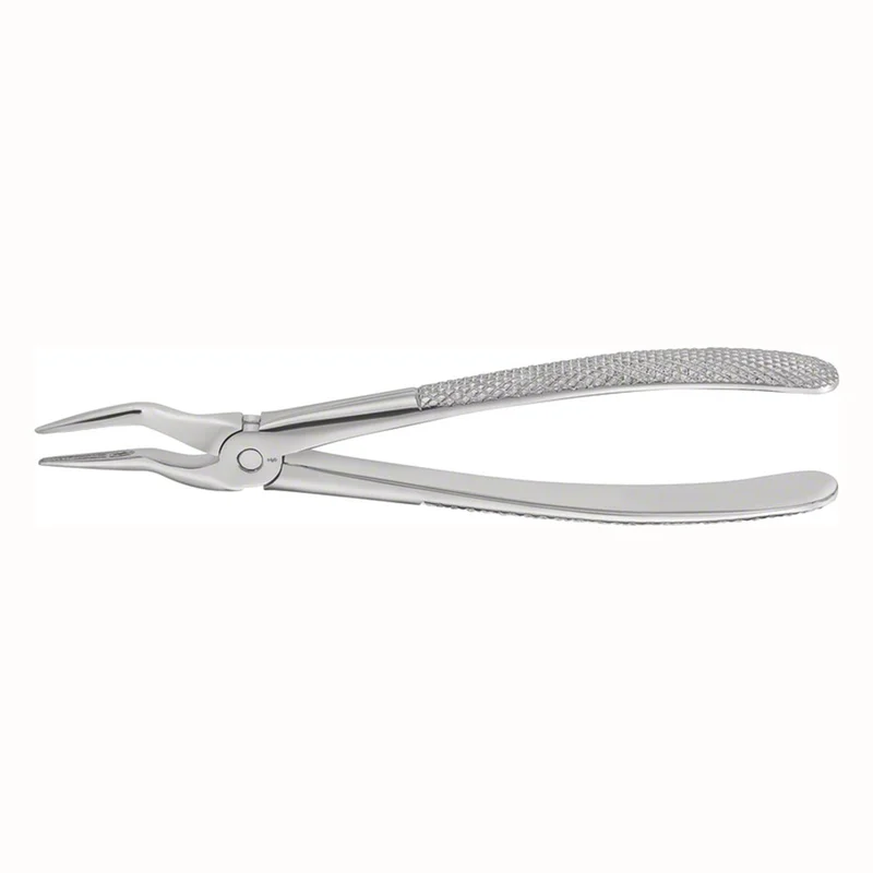 denta-tec-120260711201734866574