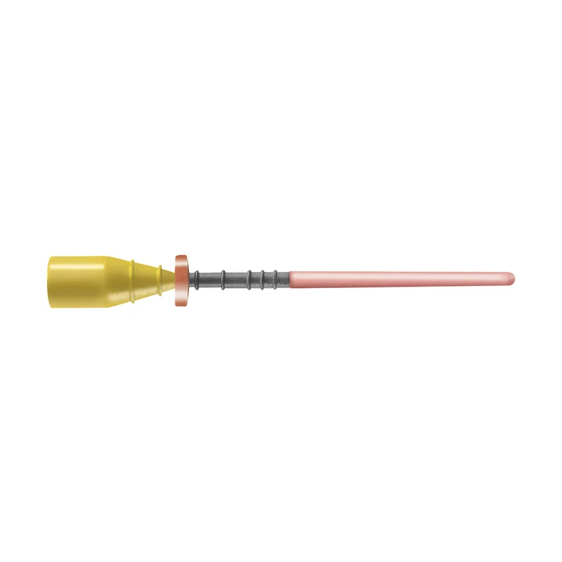 denta-tec-120260712000012885712