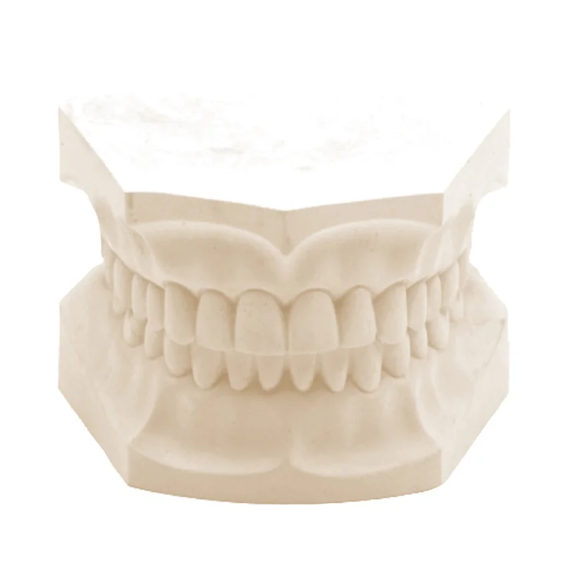 denta-tec-120260712065410922560