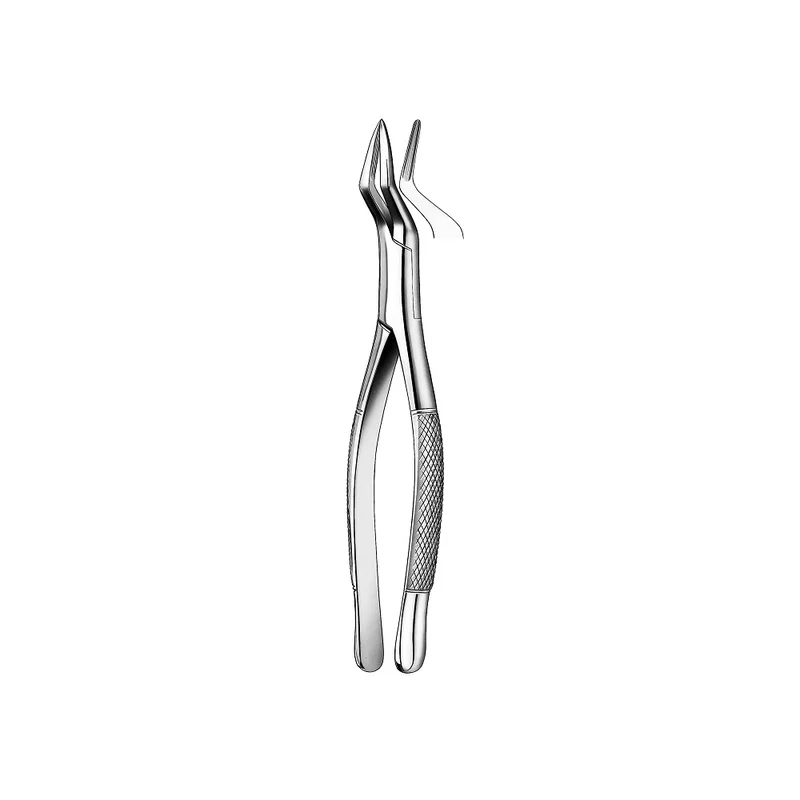 denta-tec-120260712082658934029