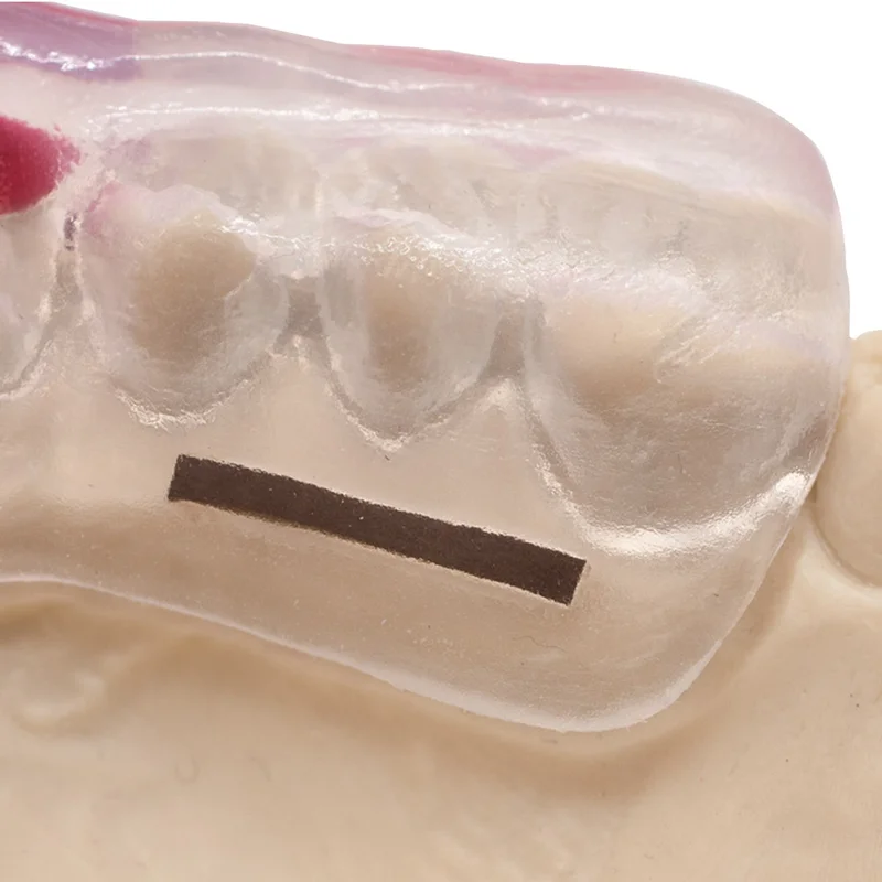 denta-tec-120260712124513961876